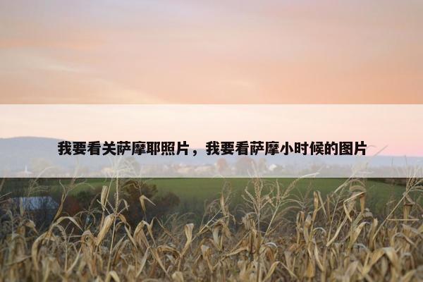 我要看关萨摩耶照片，我要看萨摩小时候的图片