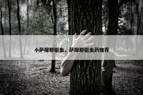 小萨摩耶驱虫，萨摩耶驱虫药推荐
