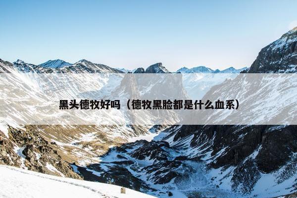 黑头德牧好吗（德牧黑脸都是什么血系）