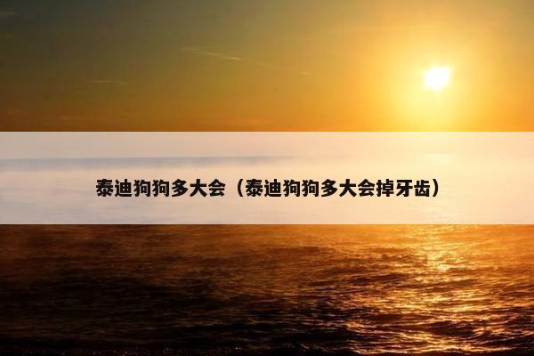 泰迪狗狗多大会（泰迪狗狗多大会掉牙齿）