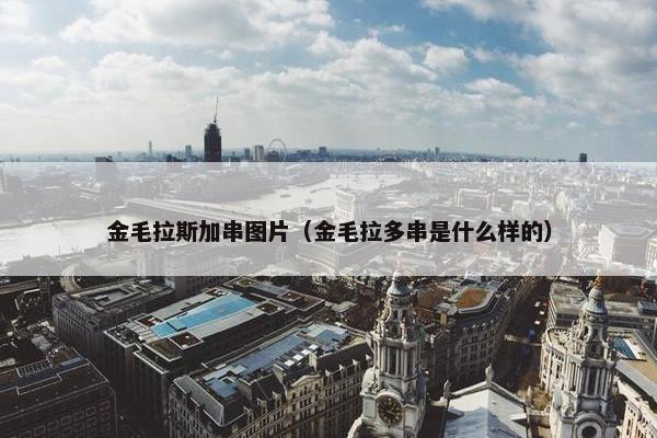 金毛拉斯加串图片（金毛拉多串是什么样的）