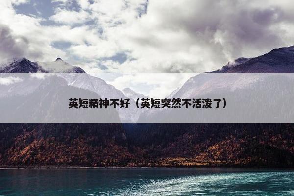 英短精神不好（英短突然不活泼了）