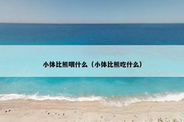 小体比熊喂什么（小体比熊吃什么）