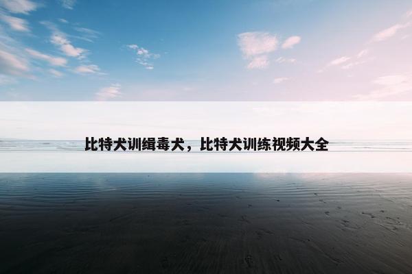 比特犬训缉毒犬，比特犬训练视频大全