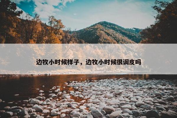 边牧小时候样子，边牧小时候很调皮吗