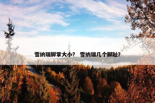 雪纳瑞脚掌大小？ 雪纳瑞几个脚趾？