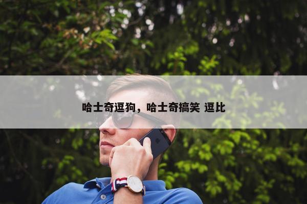 哈士奇逗狗，哈士奇搞笑 逗比