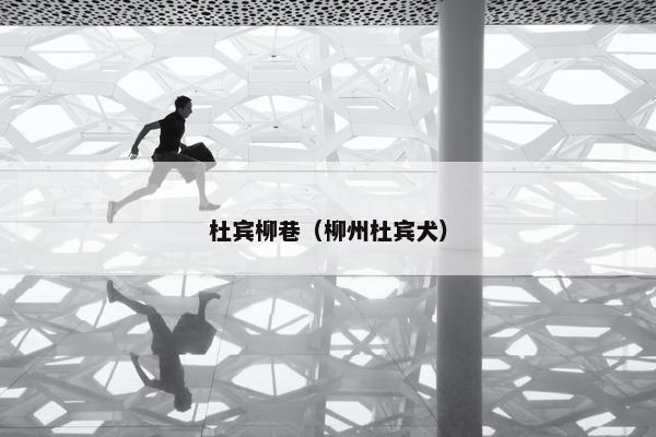 杜宾柳巷（柳州杜宾犬）