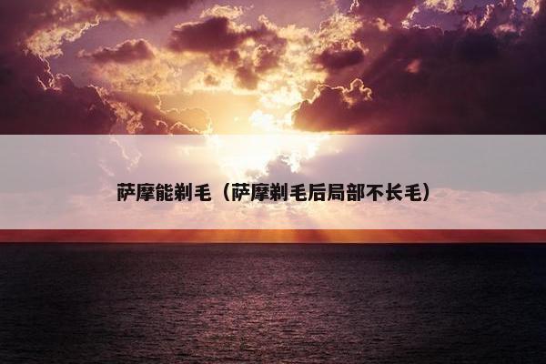 萨摩能剃毛（萨摩剃毛后局部不长毛）