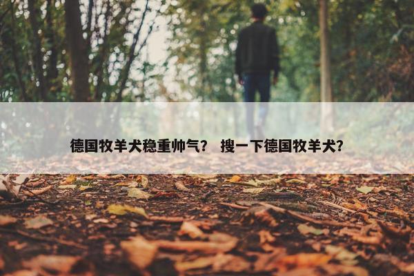德国牧羊犬稳重帅气？ 搜一下德国牧羊犬？