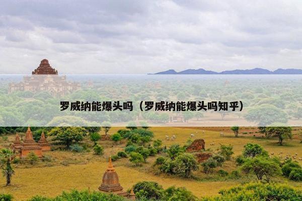 罗威纳能爆头吗（罗威纳能爆头吗知乎）