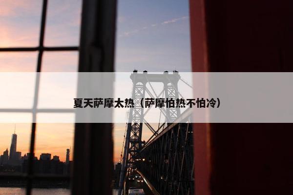 夏天萨摩太热（萨摩怕热不怕冷）