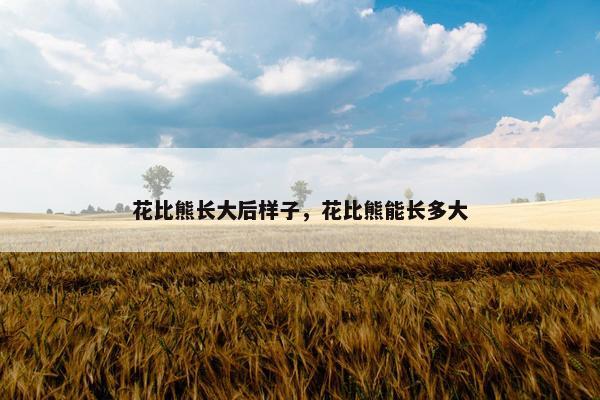花比熊长大后样子，花比熊能长多大