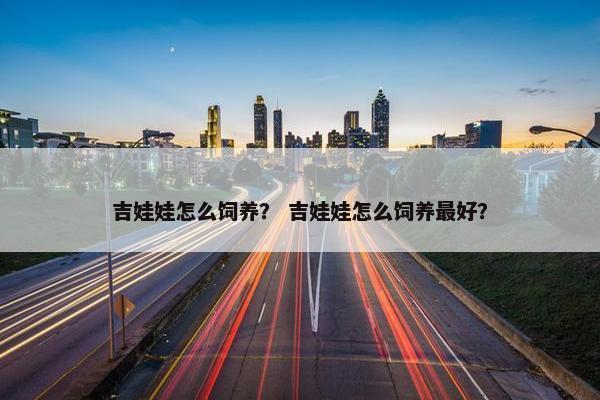 吉娃娃怎么饲养？ 吉娃娃怎么饲养最好？