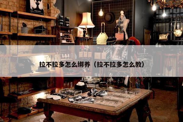 拉不拉多怎么绑养(拉不拉多怎么教) 拉不拉多怎么绑养(拉不拉多怎么教)