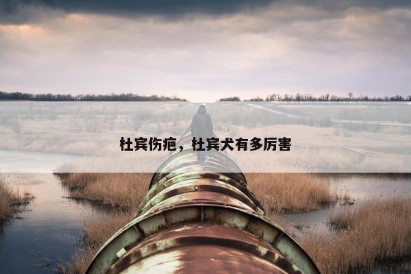 杜宾伤疤，杜宾犬有多厉害