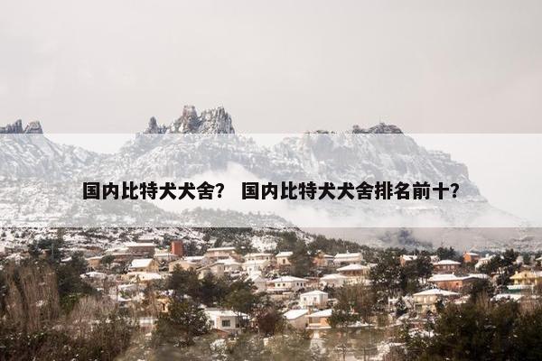国内比特犬犬舍? 国内比特犬犬舍排名前十? 国内比特犬犬舍? 国内比特犬犬舍排名前十?