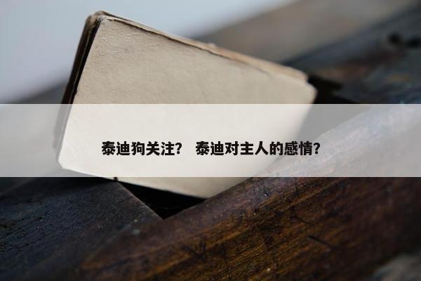 泰迪狗关注? 泰迪对主人的感情? 泰迪狗关注? 泰迪对主人的感情?