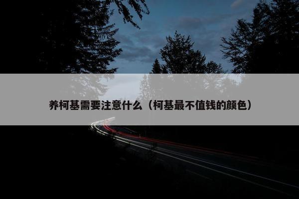 养柯基需要注意什么(柯基最不值钱的颜色) 养柯基需要注意什么(柯基最不值钱的颜色)