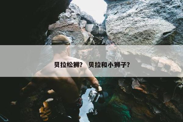 贝拉松狮? 贝拉和小狮子? 贝拉松狮? 贝拉和小狮子?