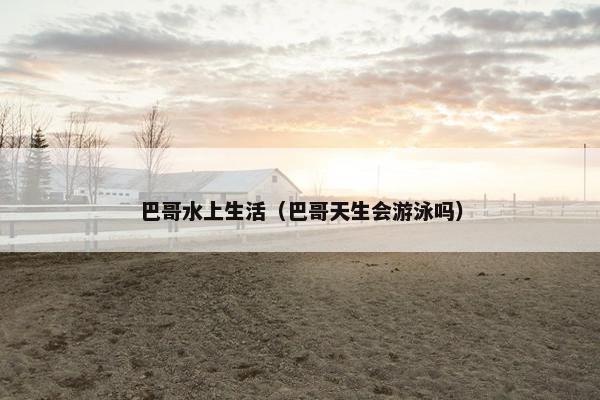 巴哥水上生活(巴哥天生会游泳吗) 巴哥水上生活(巴哥天生会游泳吗)