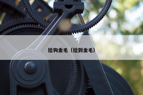 捡狗金毛(捡到金毛) 捡狗金毛(捡到金毛)