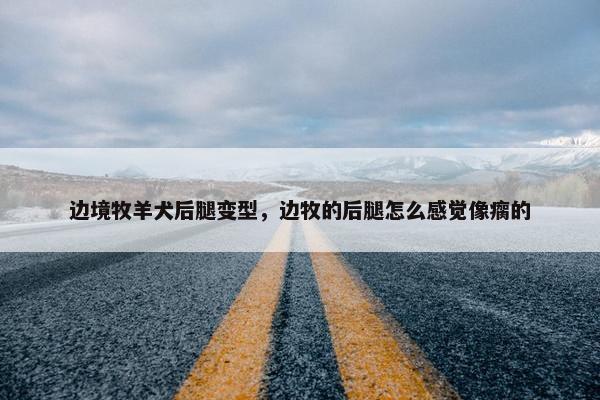 边境牧羊犬后腿变型,边牧的后腿怎么感觉像瘸的 边境牧羊犬后腿变型,边牧的后腿怎么感觉像瘸的