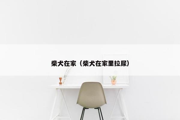 柴犬在家(柴犬在家里拉尿) 柴犬在家(柴犬在家里拉尿)