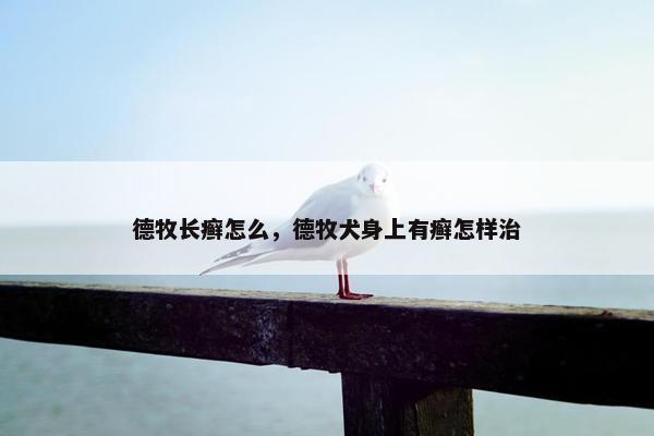德牧长癣怎么,德牧犬身上有癣怎样治 德牧长癣怎么,德牧犬身上有癣怎样治