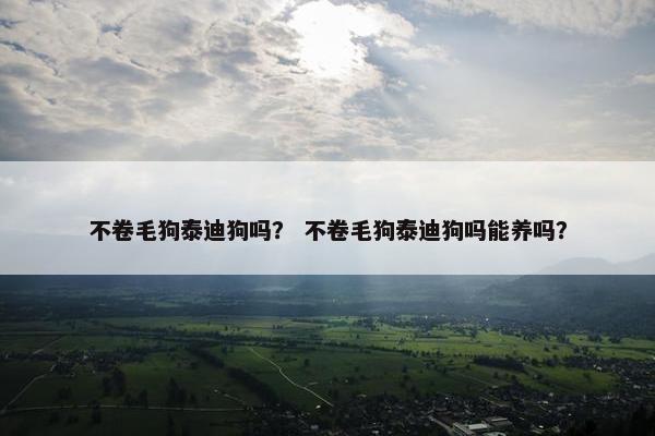 不卷毛狗泰迪狗吗? 不卷毛狗泰迪狗吗能养吗? 不卷毛狗泰迪狗吗? 不卷毛狗泰迪狗吗能养吗?
