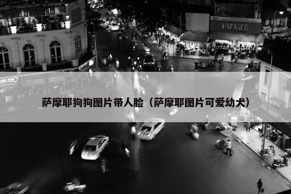 萨摩耶狗狗图片带人脸(萨摩耶图片可爱幼犬) 萨摩耶狗狗图片带人脸(萨摩耶图片可爱幼犬)