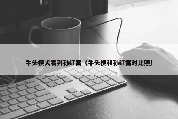 牛头梗犬看到孙红雷(牛头梗和孙红雷对比照) 牛头梗犬看到孙红雷(牛头梗和孙红雷对比照)