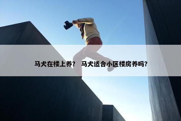 马犬在楼上养? 马犬适合小区楼房养吗? 马犬在楼上养? 马犬适合小区楼房养吗?