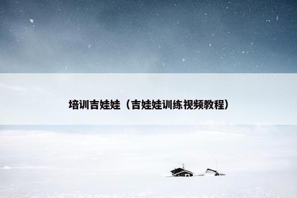 培训吉娃娃(吉娃娃训练视频教程) 培训吉娃娃(吉娃娃训练视频教程)