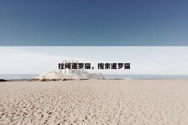 拴绳暹罗猫,搜索暹罗猫 拴绳暹罗猫,搜索暹罗猫