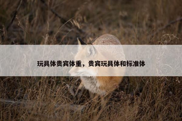 玩具体贵宾体重,贵宾玩具体和标准体 玩具体贵宾体重,贵宾玩具体和标准体