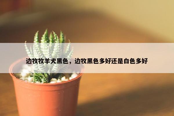 边牧牧羊犬黑色,边牧黑色多好还是白色多好 边牧牧羊犬黑色,边牧黑色多好还是白色多好