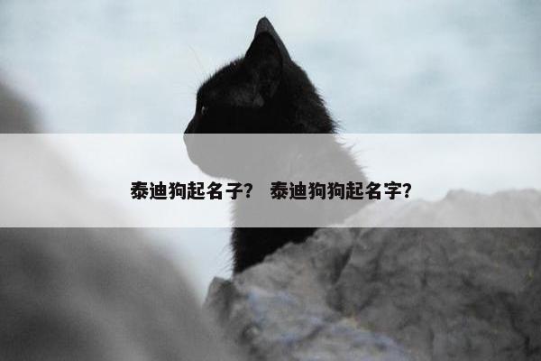 泰迪狗起名子? 泰迪狗狗起名字? 泰迪狗起名子? 泰迪狗狗起名字?