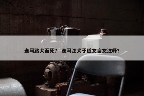 逸马踏犬而死? 逸马杀犬于道文言文注释? 逸马踏犬而死? 逸马杀犬于道文言文注释?