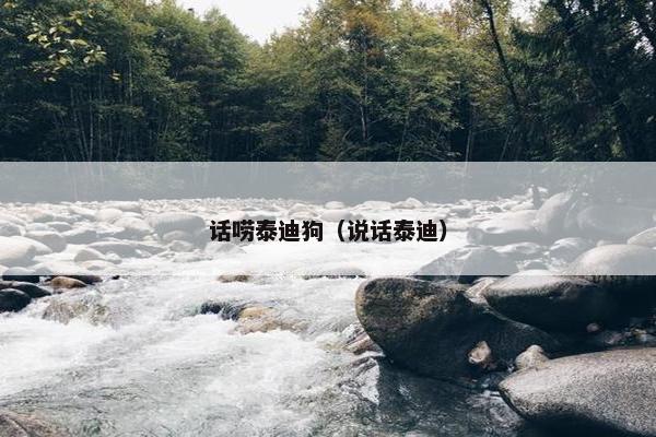 话唠泰迪狗（说话泰迪）