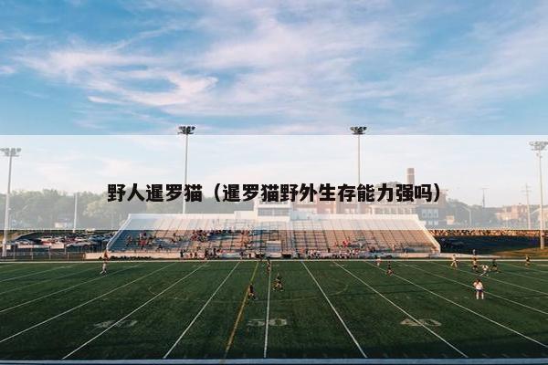 野人暹罗猫(暹罗猫野外生存能力强吗) 野人暹罗猫(暹罗猫野外生存能力强吗)