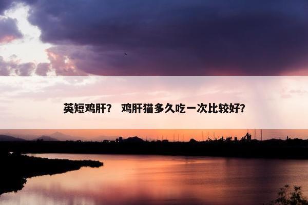 英短鸡肝? 鸡肝猫多久吃一次比较好? 英短鸡肝? 鸡肝猫多久吃一次比较好?