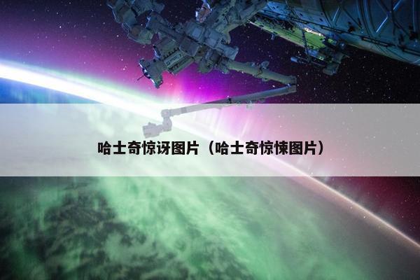 哈士奇惊讶图片（哈士奇惊悚图片）