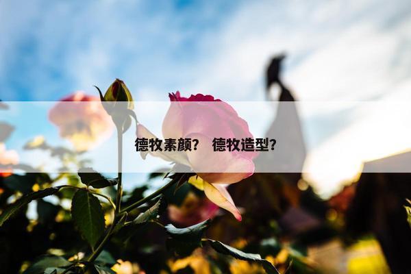 德牧素颜? 德牧造型? 德牧素颜? 德牧造型?