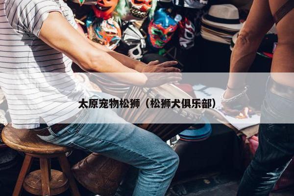 太原宠物松狮(松狮犬俱乐部) 太原宠物松狮(松狮犬俱乐部)