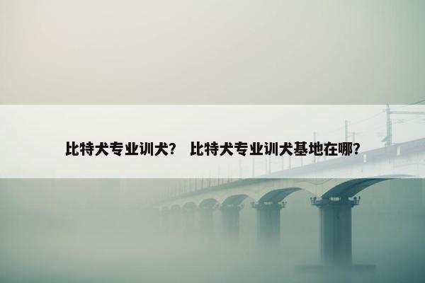 比特犬专业训犬? 比特犬专业训犬基地在哪? 比特犬专业训犬? 比特犬专业训犬基地在哪?