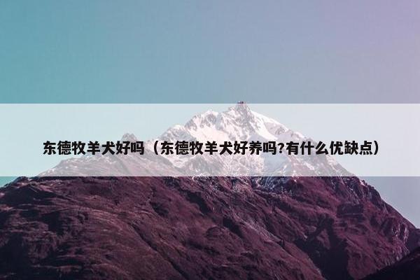 东德牧羊犬好吗(东德牧羊犬好养吗?有什么优缺点) 东德牧羊犬好吗(东德牧羊犬好养吗?有什么优缺点)