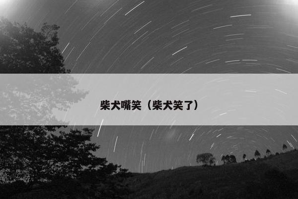柴犬嘴笑(柴犬笑了) 柴犬嘴笑(柴犬笑了)