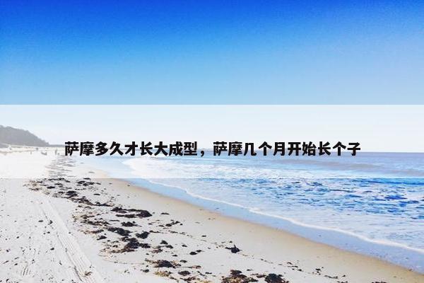 萨摩多久才长大成型,萨摩几个月开始长个子 萨摩多久才长大成型,萨摩几个月开始长个子