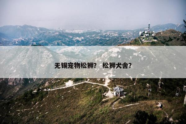 无锡宠物松狮? 松狮犬舍? 无锡宠物松狮? 松狮犬舍?